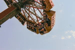Park ewolucji - Zator, Sławutówko czy może coś innego? Który wybrać? 